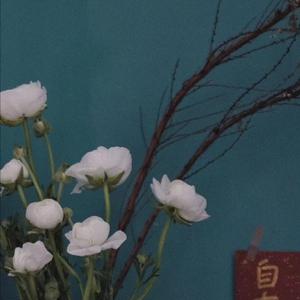 美女脱👙给我捏🐻免费视频
